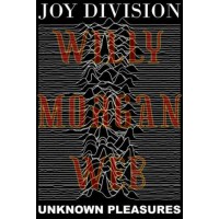 Joy Division Unknown Pleasures